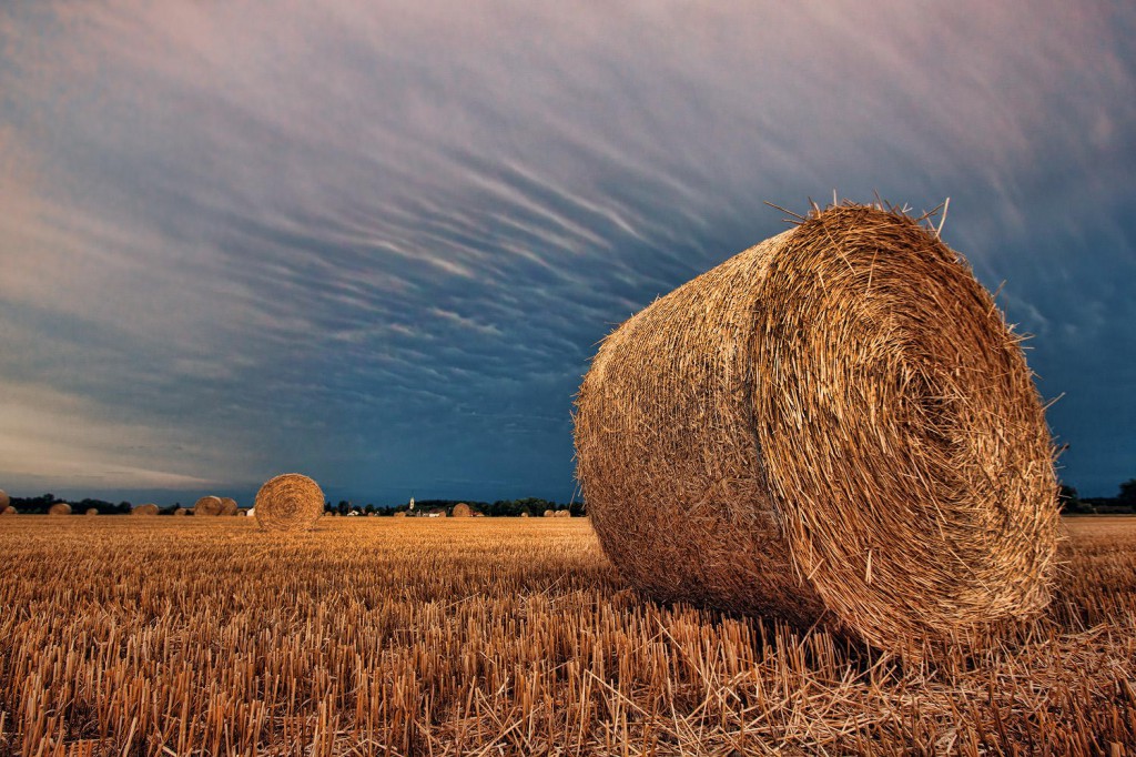 balles_of_straw